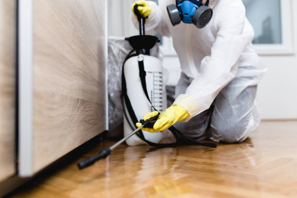 Best Exterminator Services  in South Roxana, IL