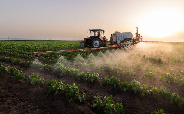 Best Mosquito Control Services  in South Roxana, IL