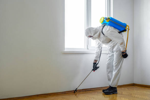 Best Insect Control  in South Roxana, IL