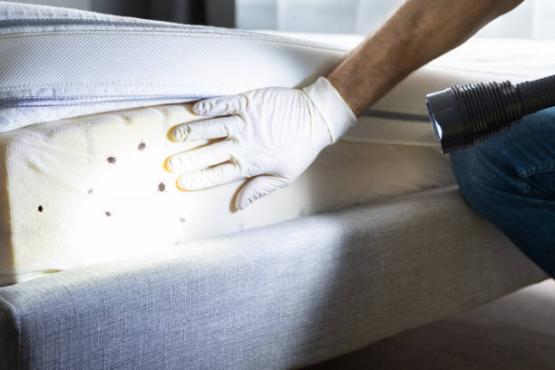 Best Pest Prevention Services  in South Roxana, IL