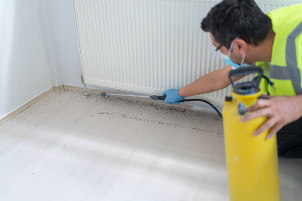 Best Pest Control Near Me  in South Roxana, IL