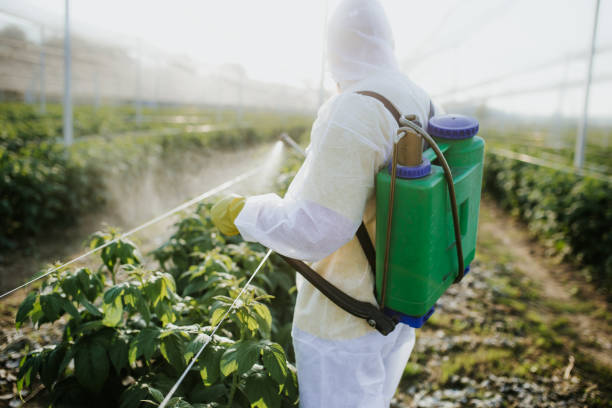Best Emergency Pest Control  in South Roxana, IL